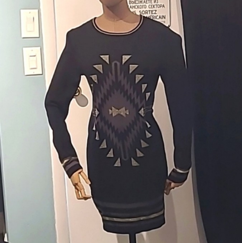 NWT  longsleeve minidress